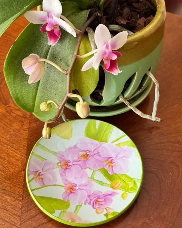 Platos decoupage para regalar León orquídeas